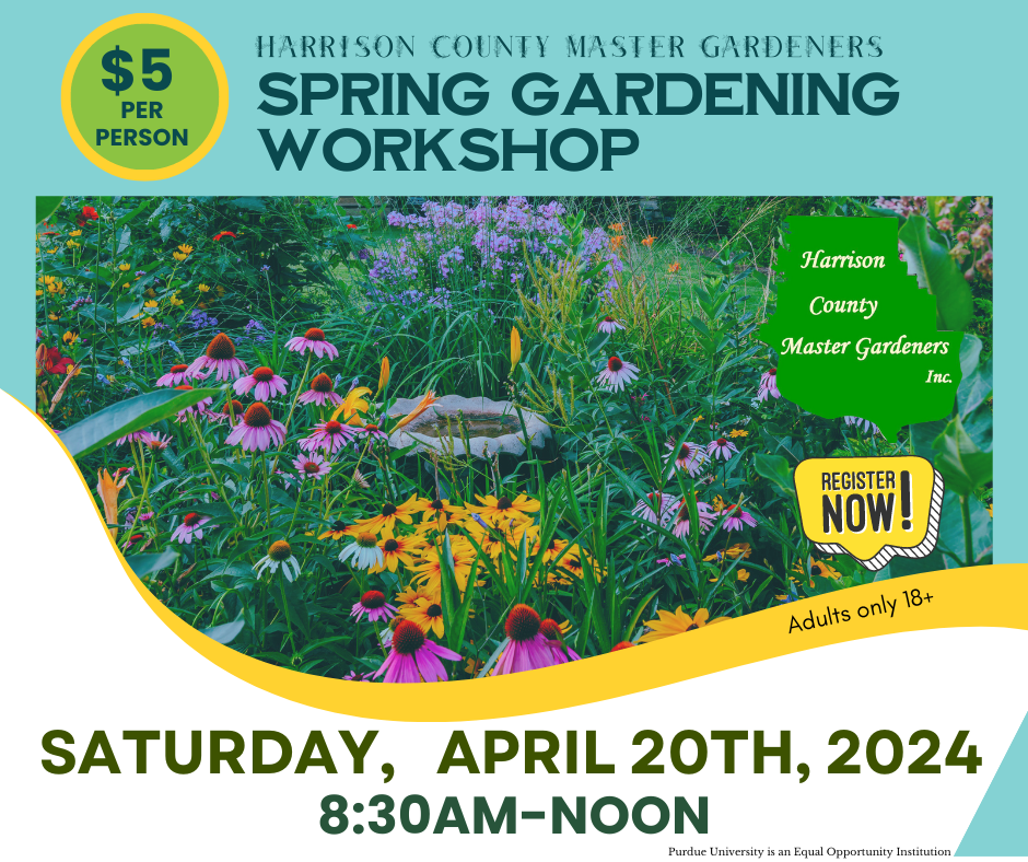 spring workshop