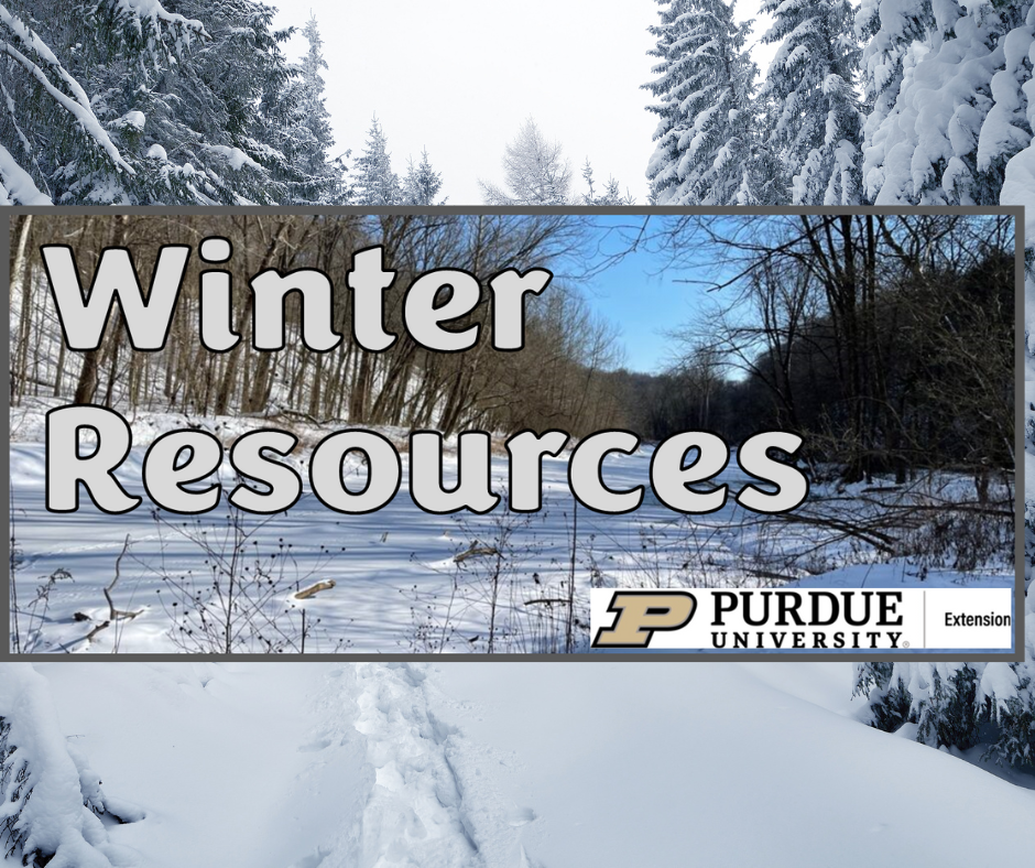 Winter Resources