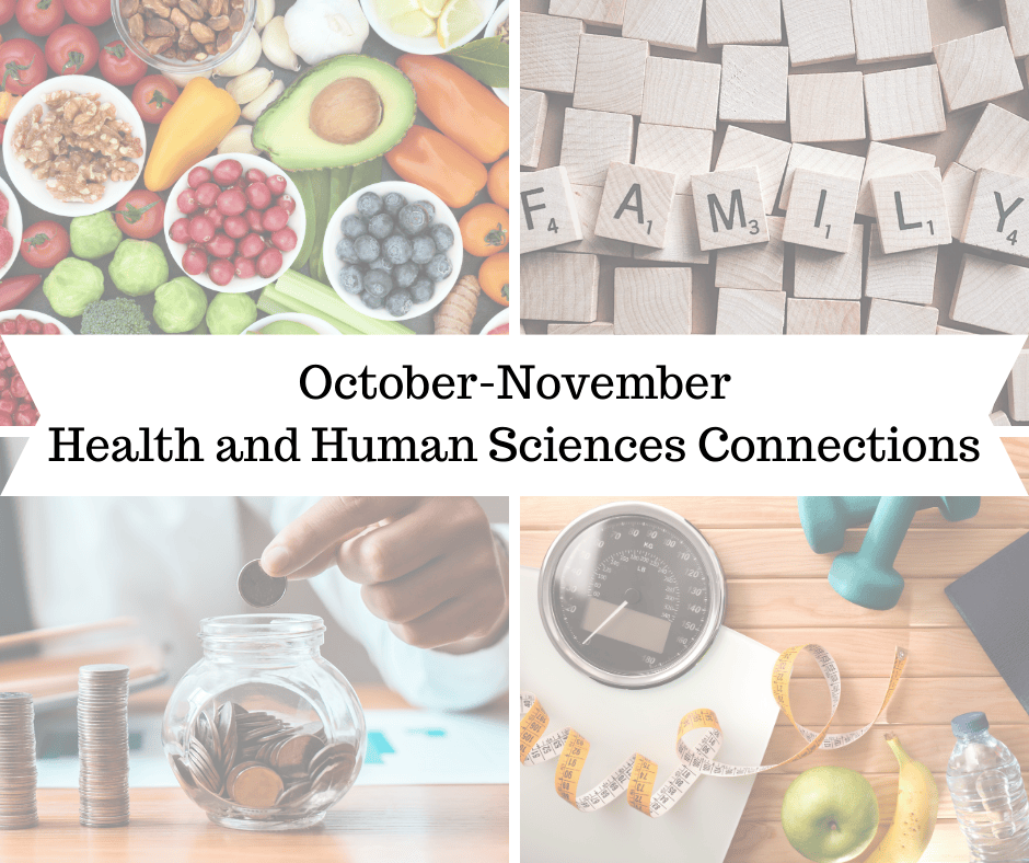 October/November 2024