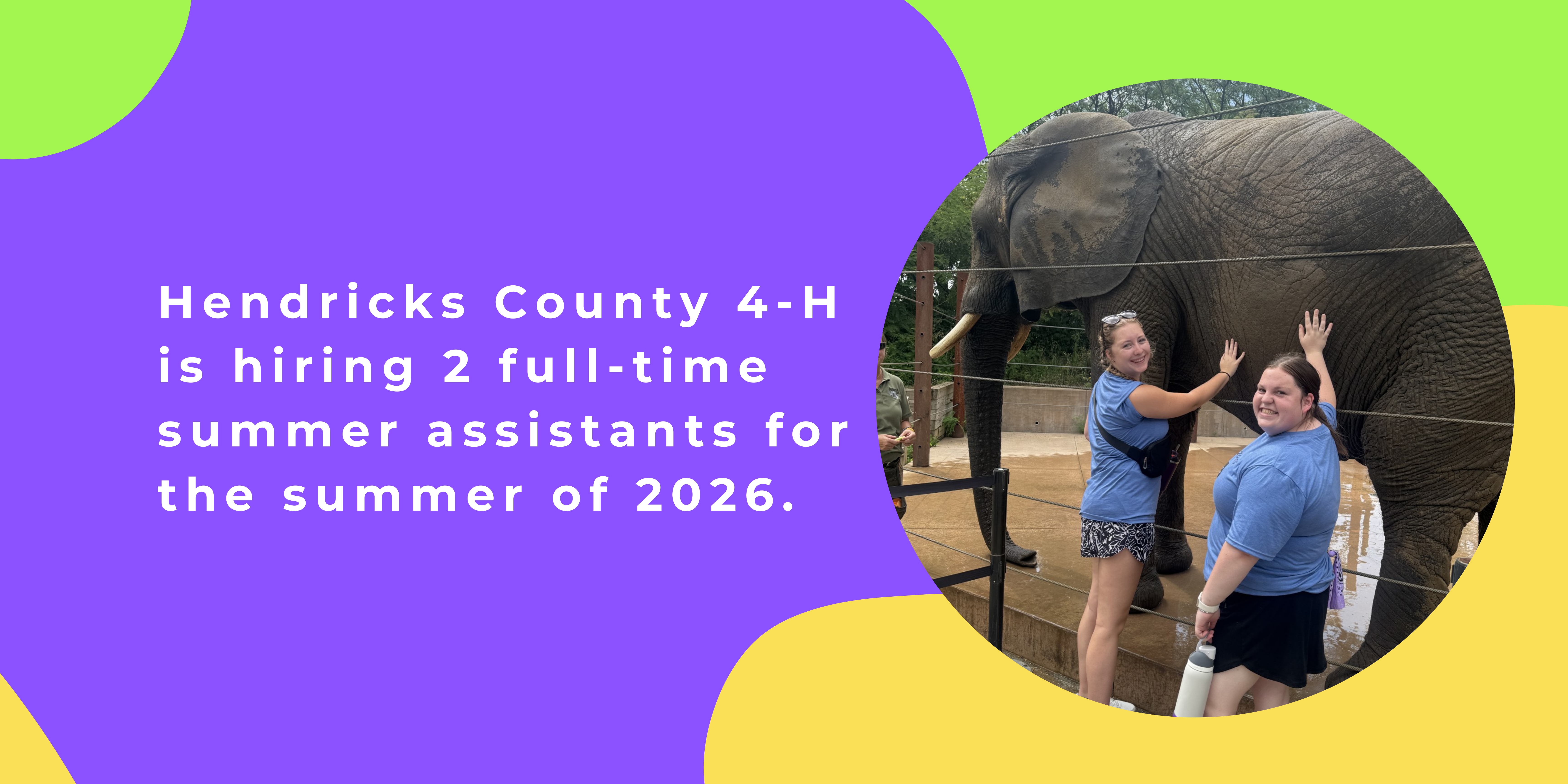 summer assistant application