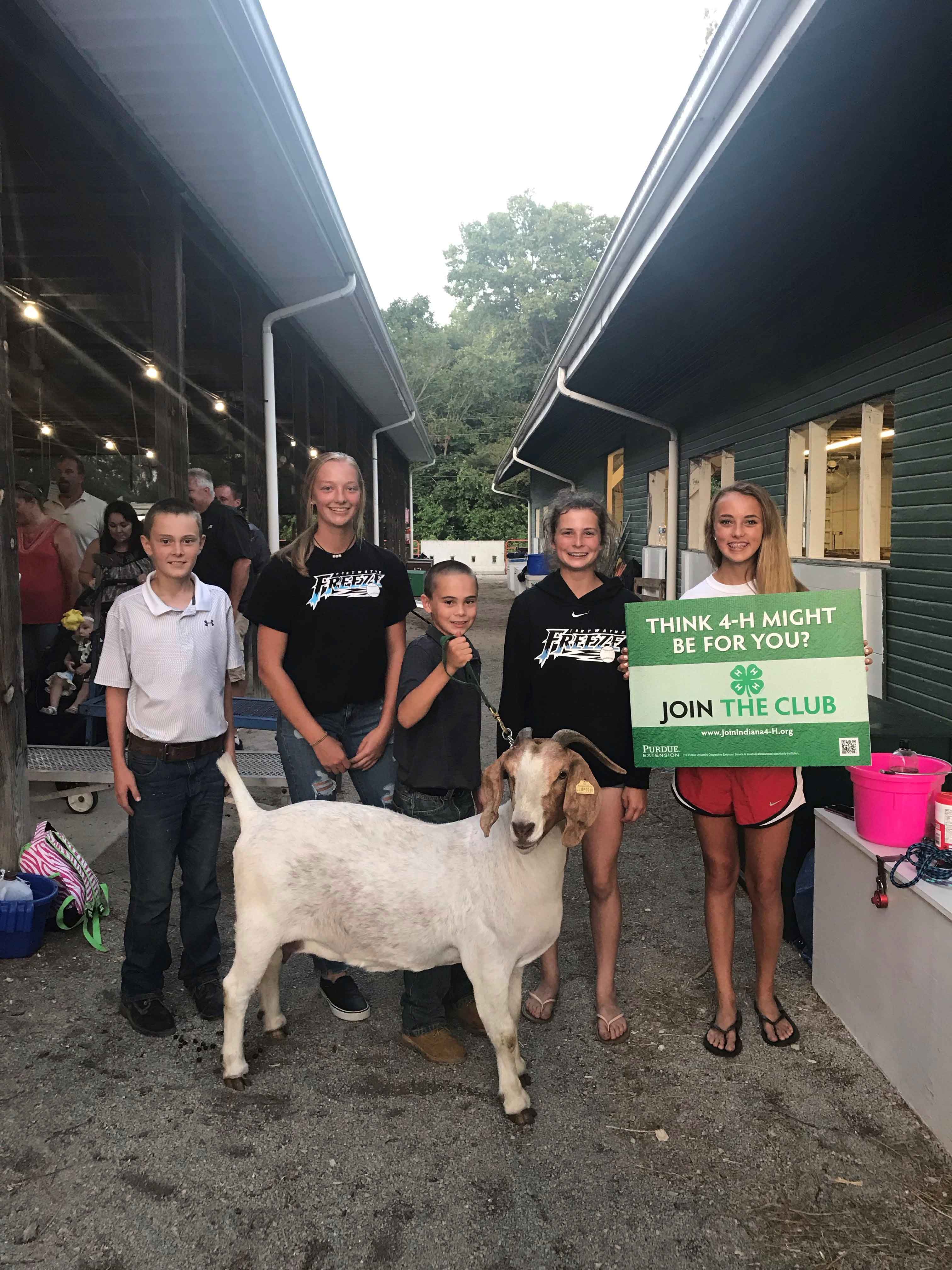 Animal & Livestock Projects Grades 3-12