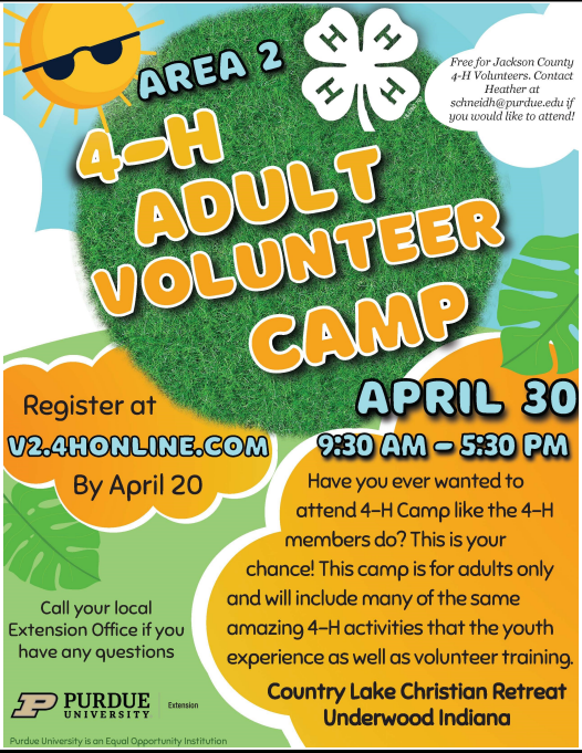 4-H Adult Volunteer Camp Flyer