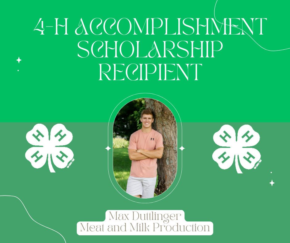 scholarship winners