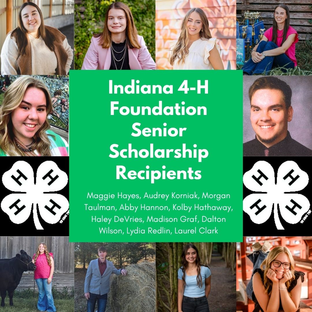 scholarship winners