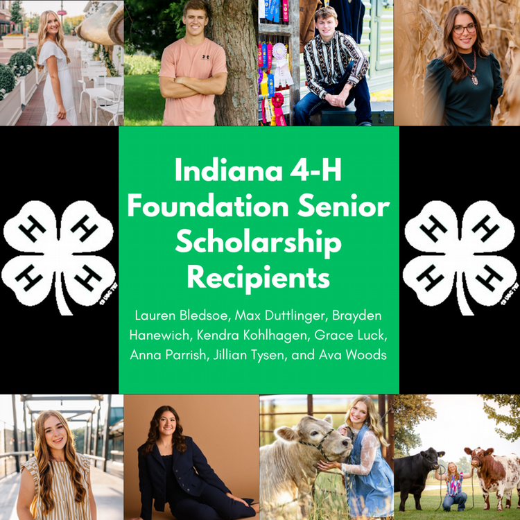 scholarship winners