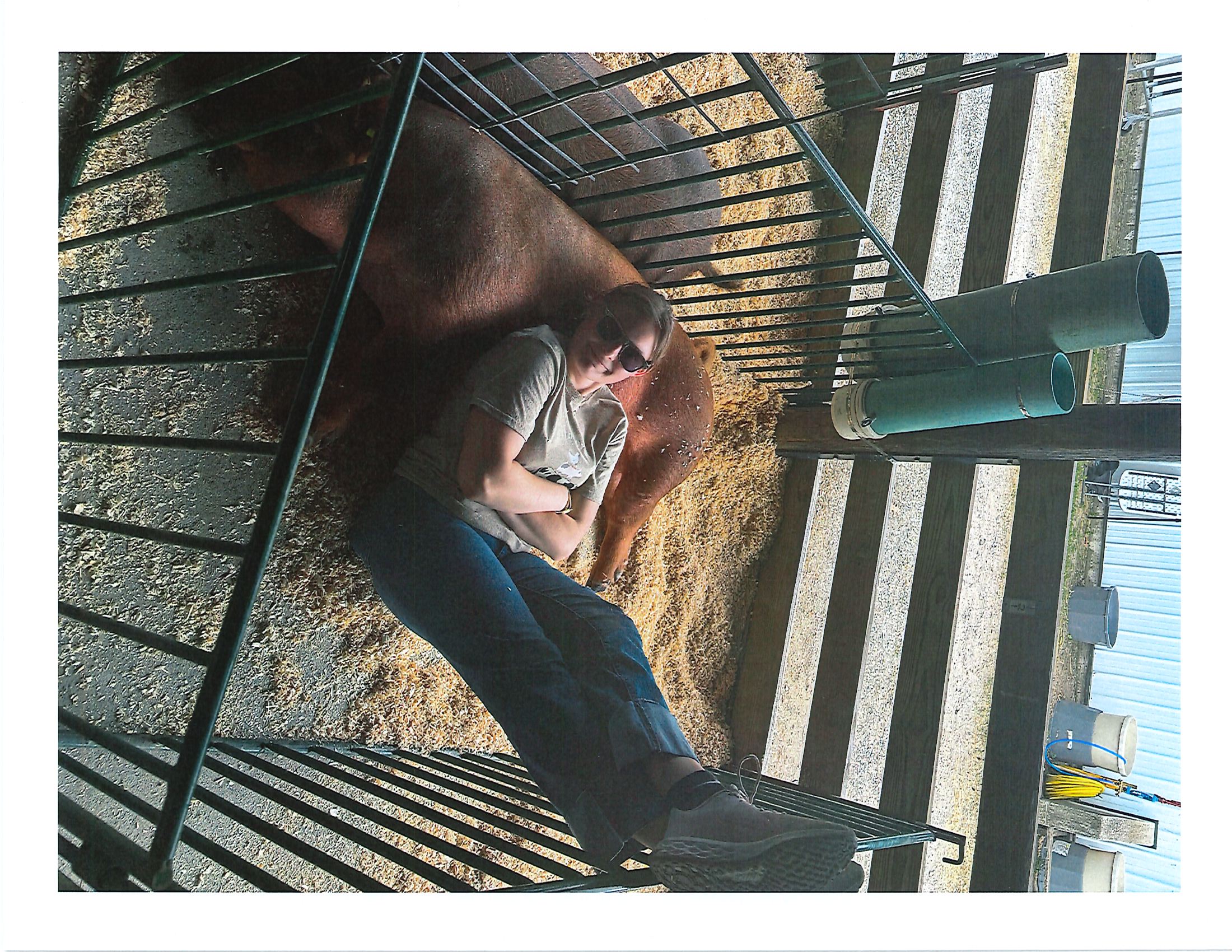 4-H Member laying on her pig.