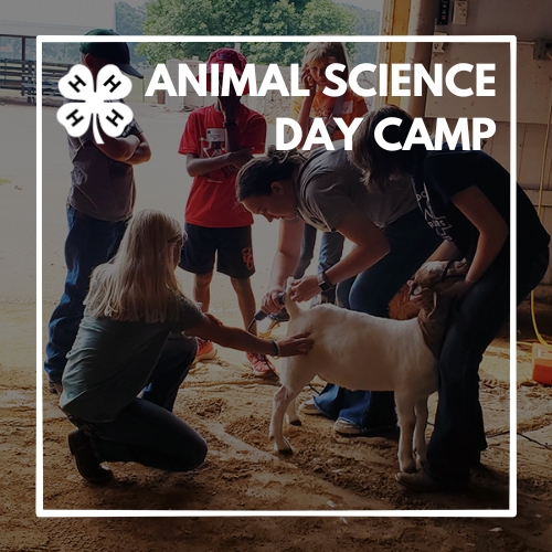animal-science-day-camp.jpg