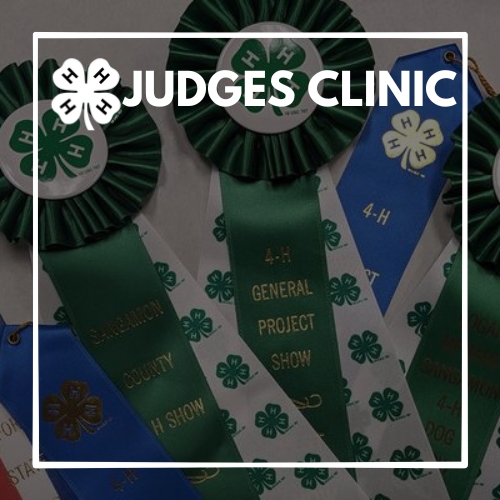 judges-clinic.jpg