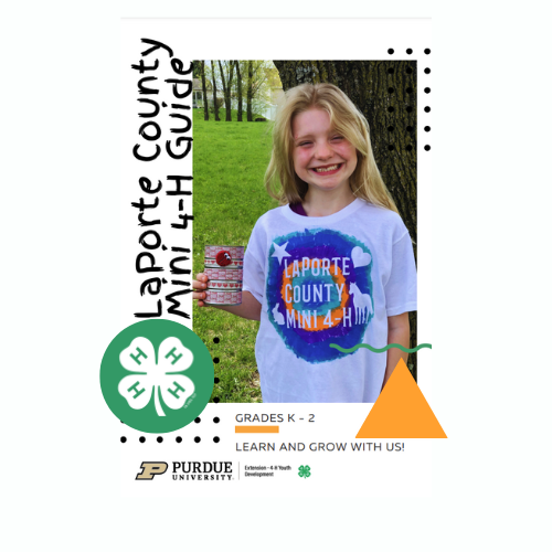 View the Mini 4-H Guide