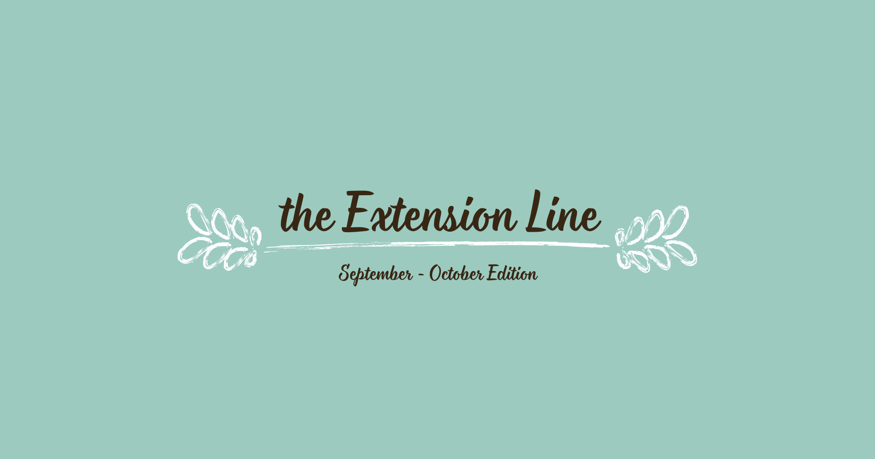 Extension Line September 2024