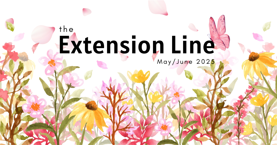 the Extension Line Newsletter Header