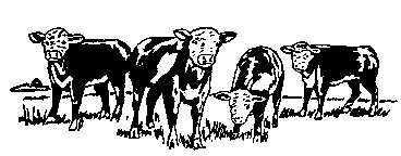 cattlemans-letterhead-logo.png