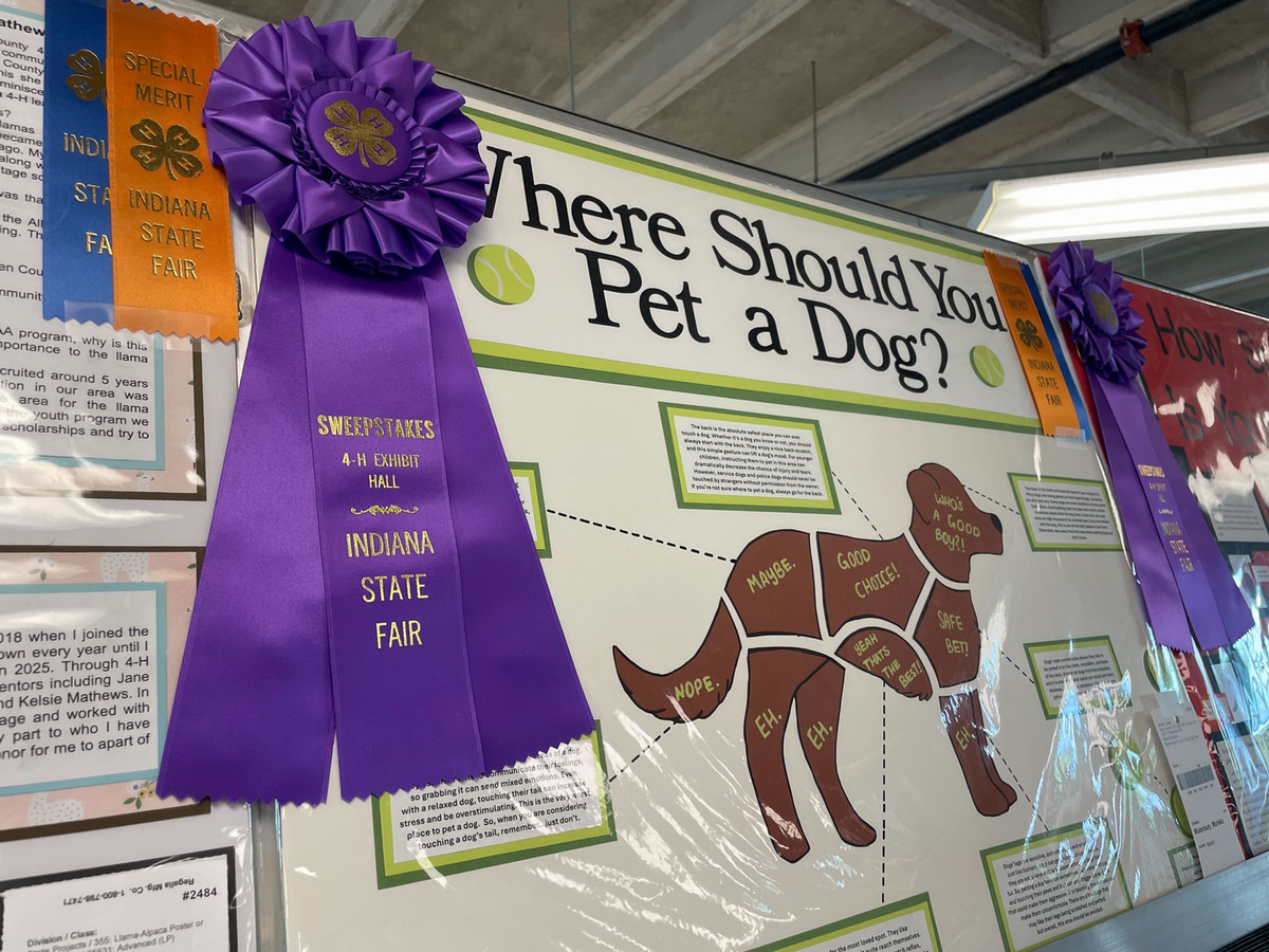 Dog Poster with Purple Ribbon