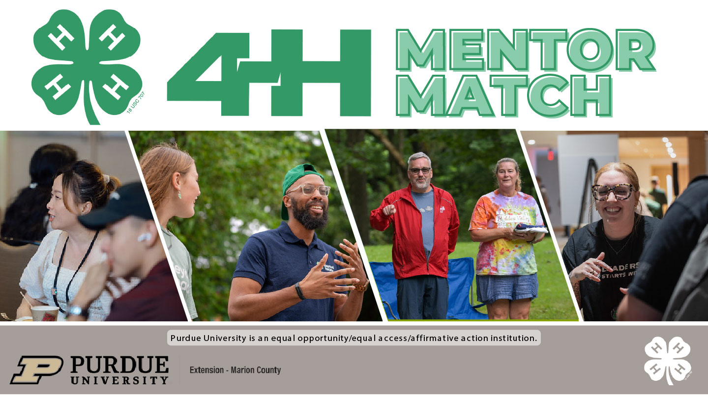 Mentor Match Graphic 