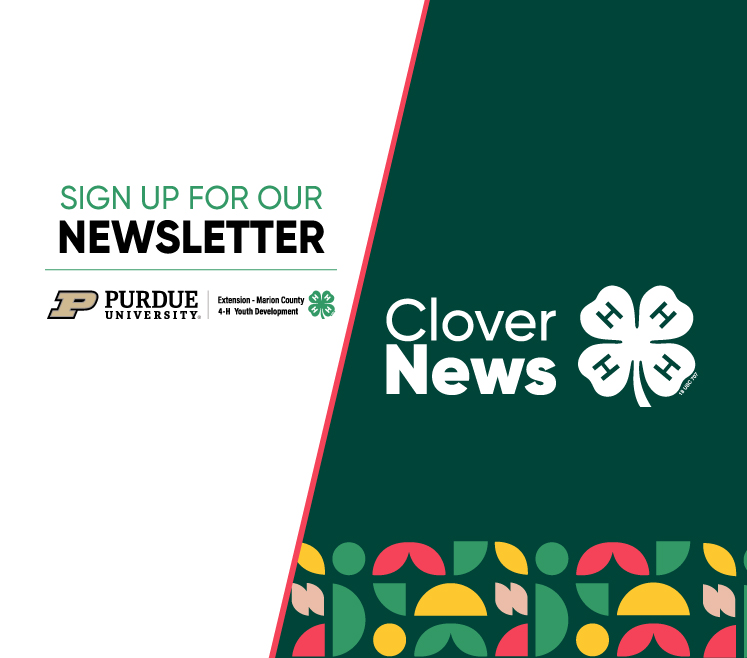 newsletter subscribe , clover news