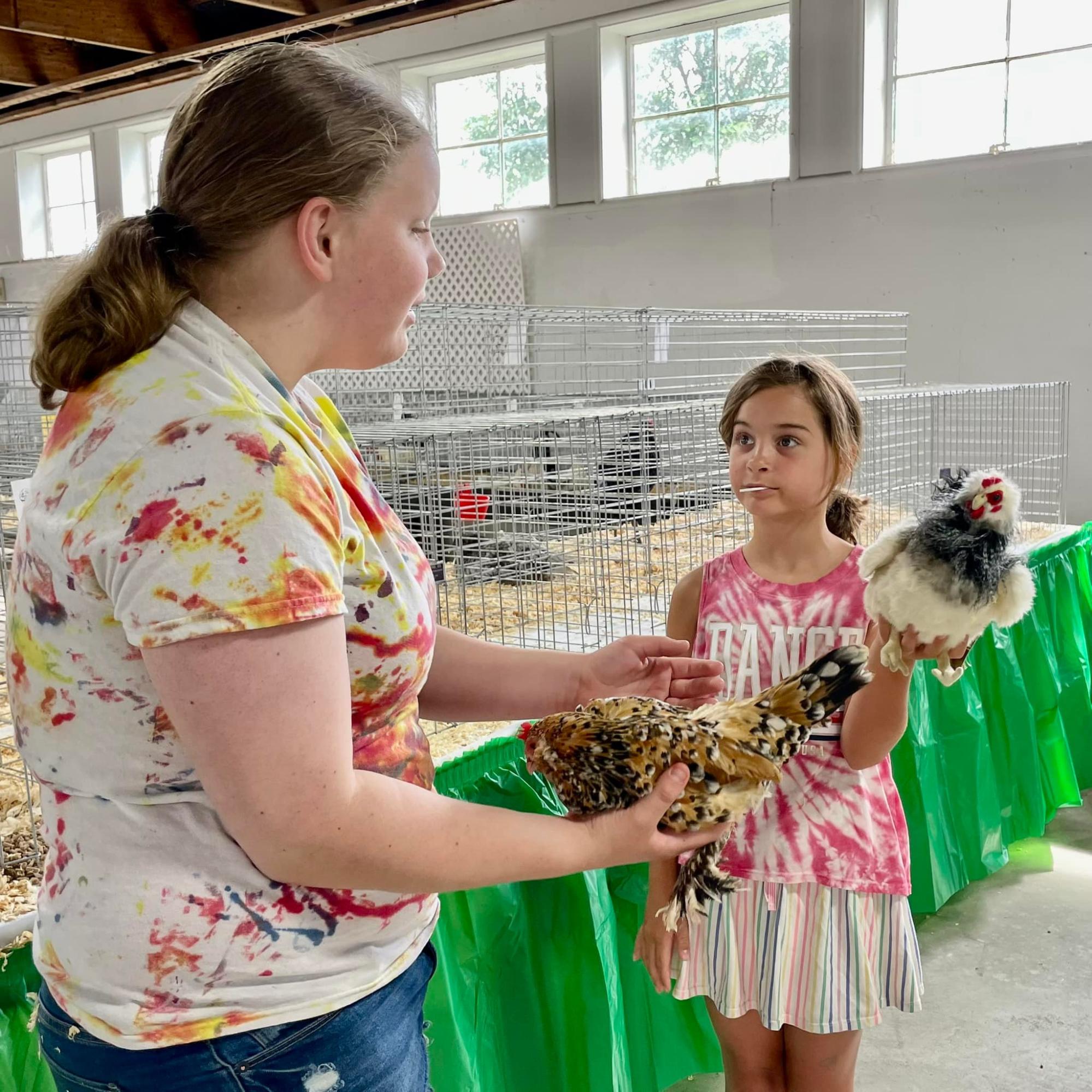 4-H Poultry Projects members discussing their birds.