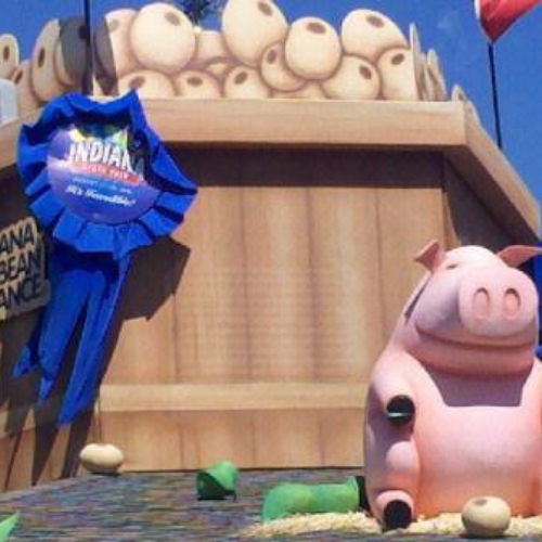 A cartoon pig and a blue ribbon stating State Fair