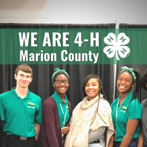 Four kids smiling with words that say We Are Marion County 4-H