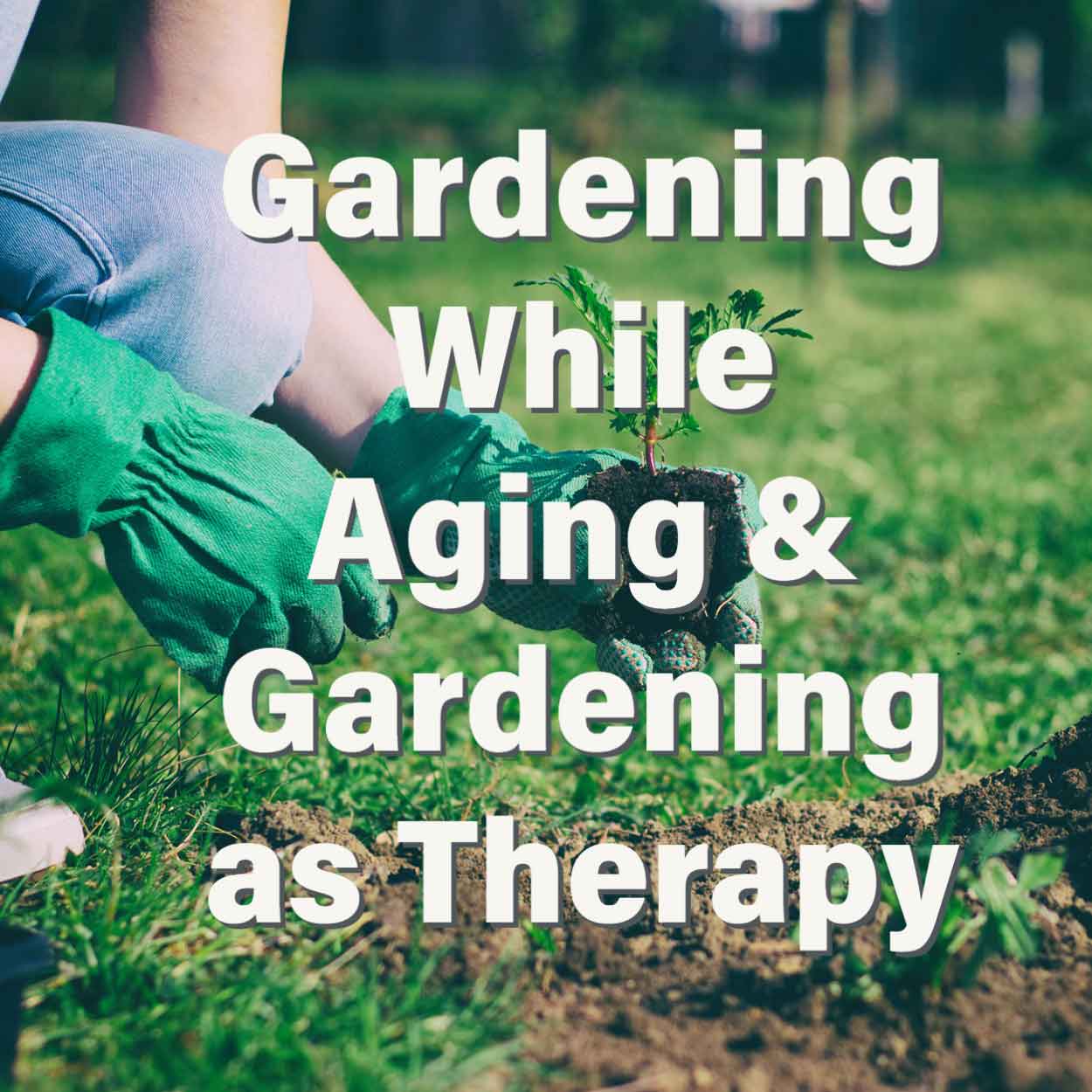 Gardening While Aging” AND “Gardening as Therapy