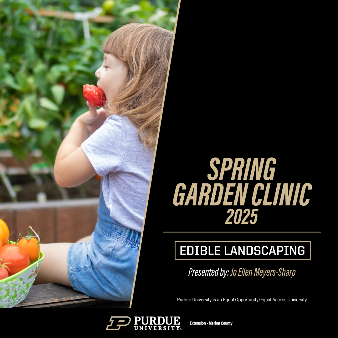 Edible landscaping