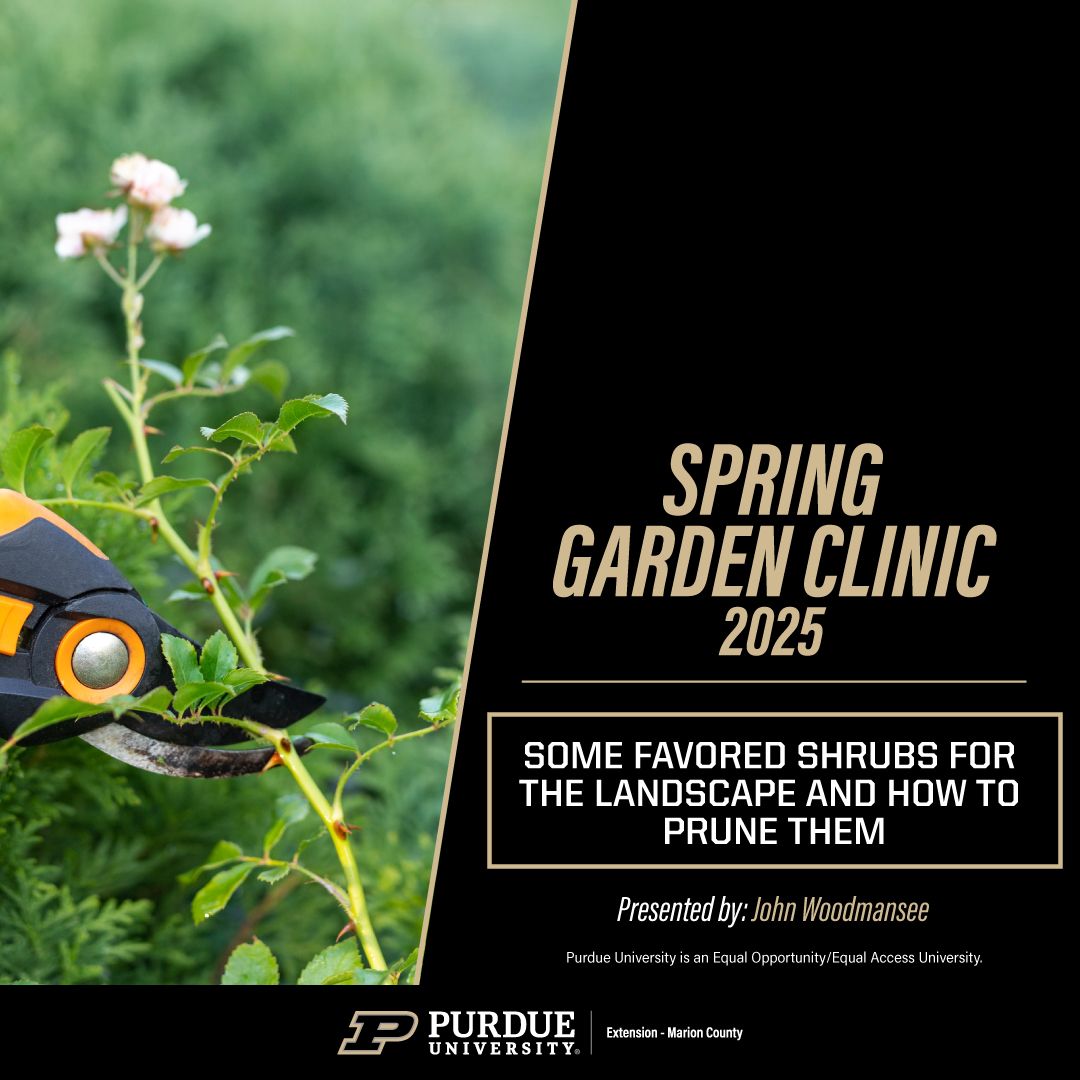 Some Favored Shrubs for the Landscape and How to Prune Them