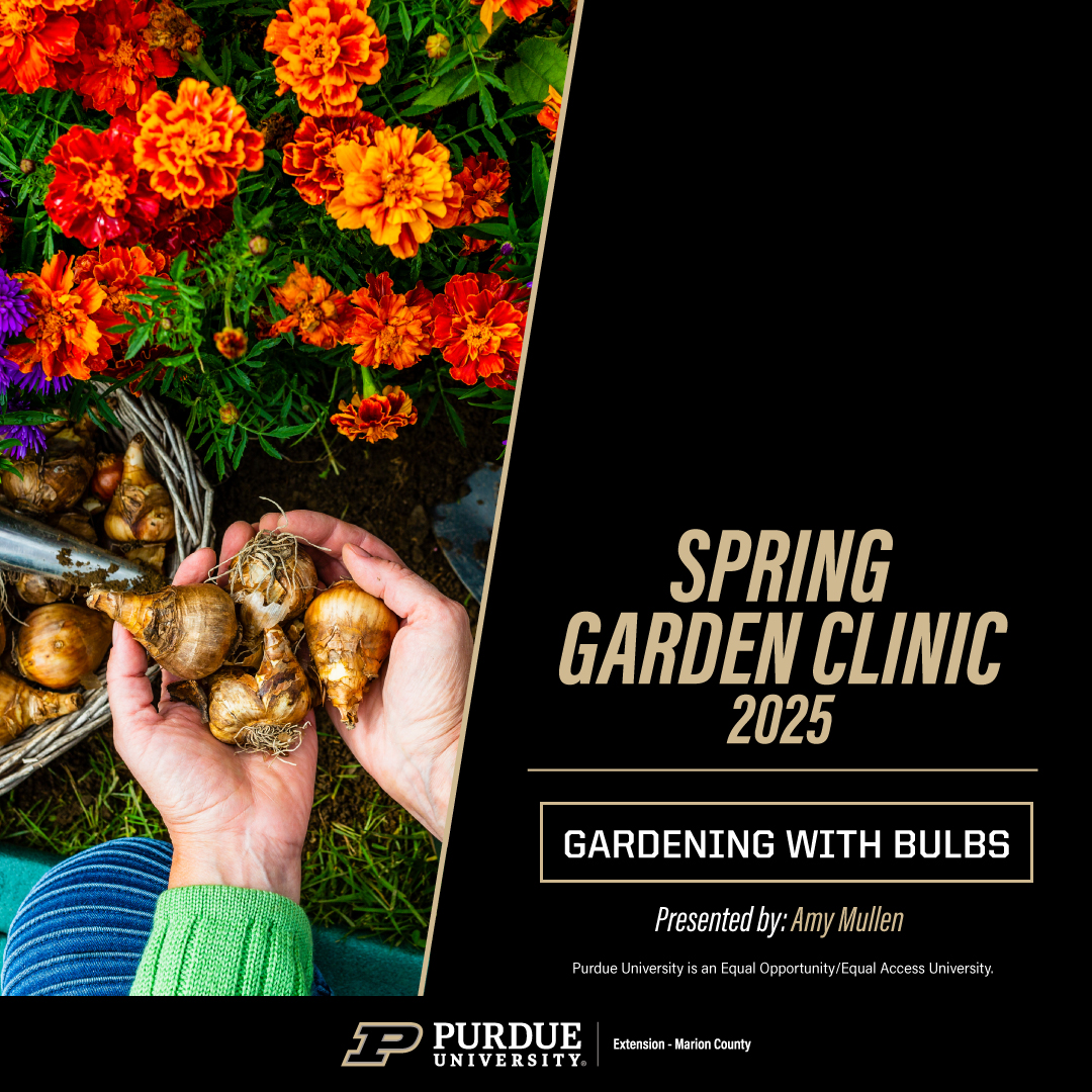 Gardening with bulbs