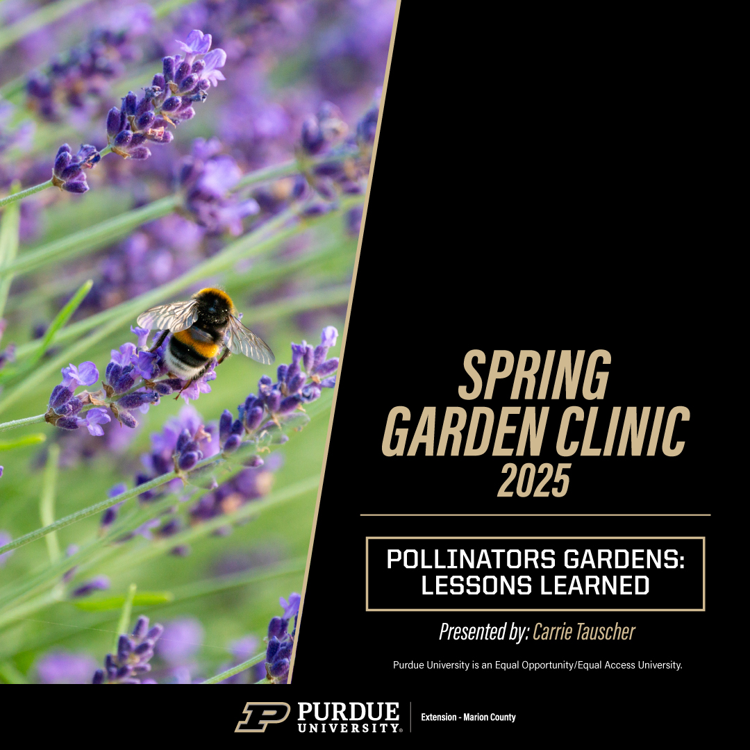 Pollinator Gardens