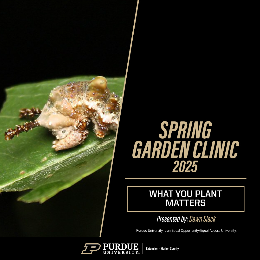 What you plant matters