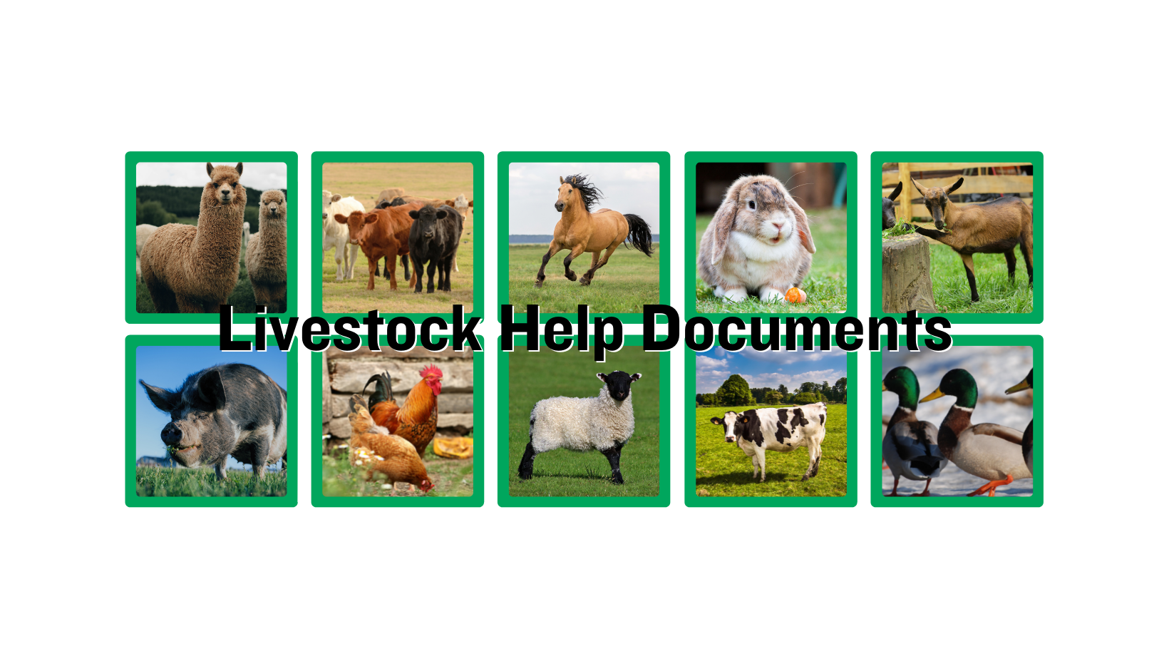 Livestock Help Documents