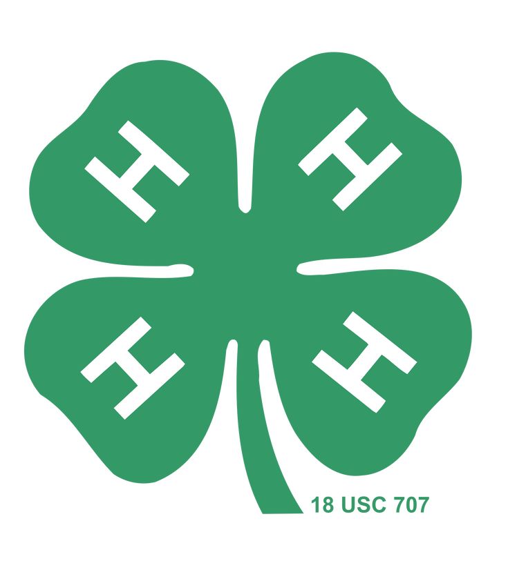 4-H Clover