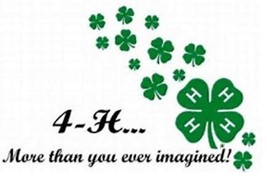 4-h-more-than-you-imagined.jpg