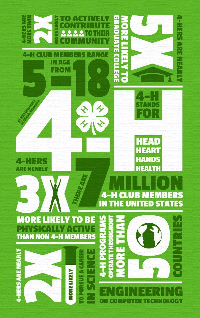 4-h_-by-the-numbers.jfif