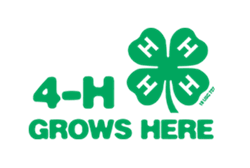 4-H Grows Here sign with 4-H Clover