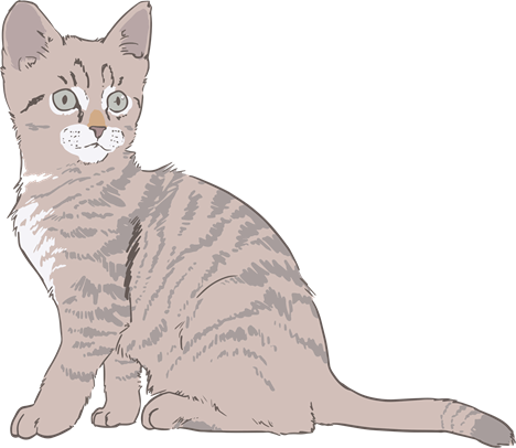 cartoon image of a tabby cat