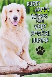 Group of dogs/Best Wishes to Special Human