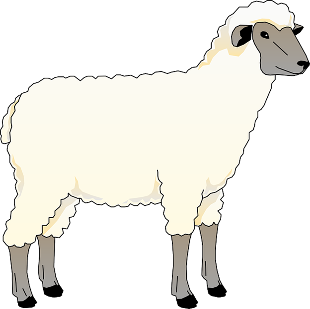 sheep-clipart.png