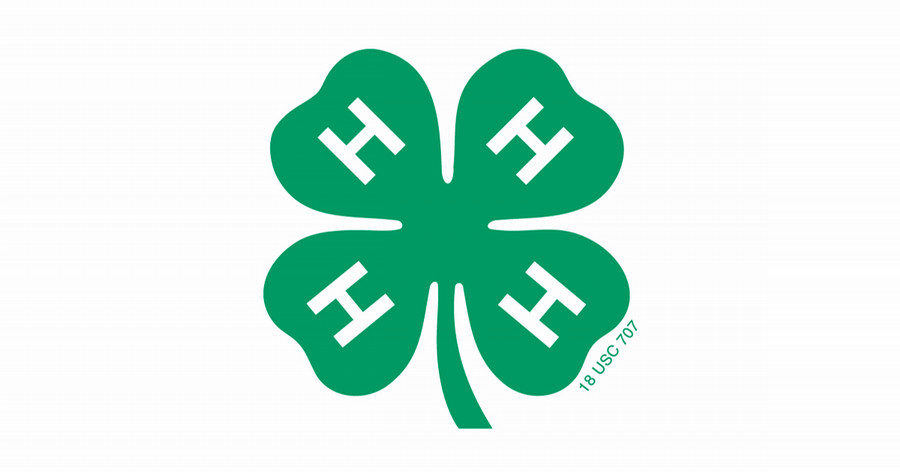 Summer Intern Application