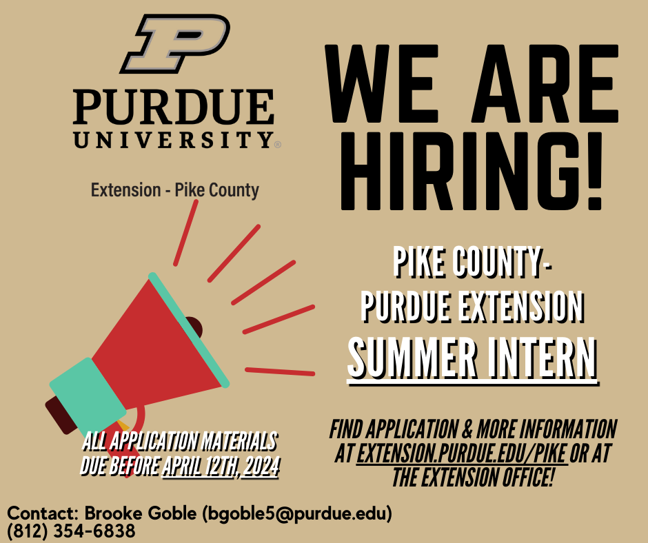 summer-intern-hiring-post-no-link.png