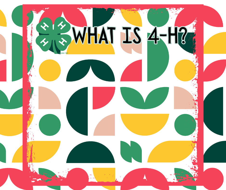 What is 4-H?