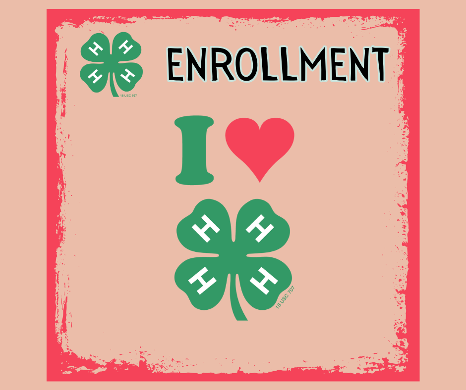 Enrollment