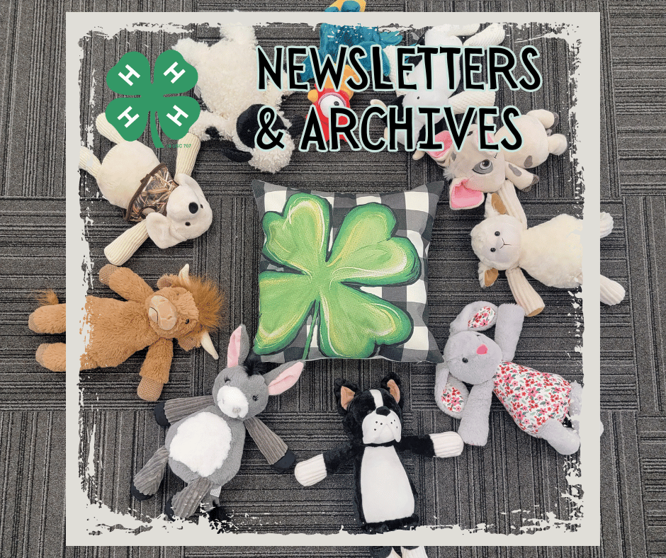 Newsletters & Archives