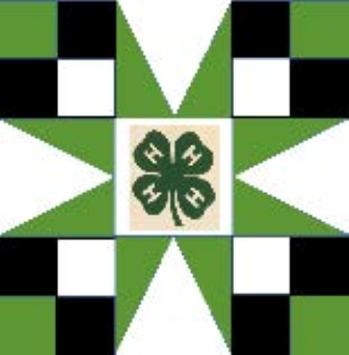 4-H themed barn quilt