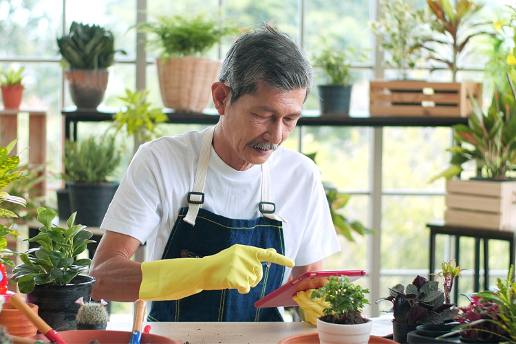 Senior man container gardening