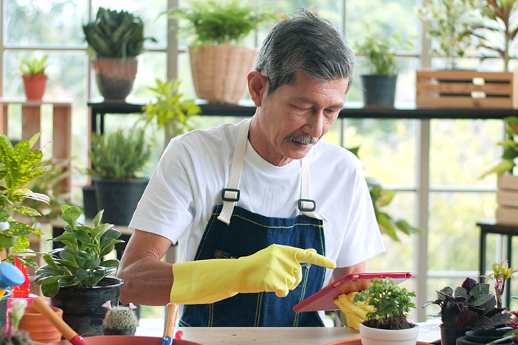 Senior man container gardening
