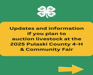 2025 Livestock Auction Update