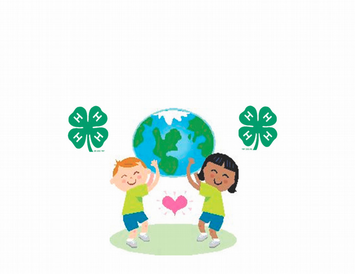 4-H MINI HANDBOOK - Get Creative!