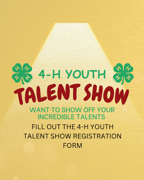 2025 Pulaski County 4-H Youth Talent Show Registration Form