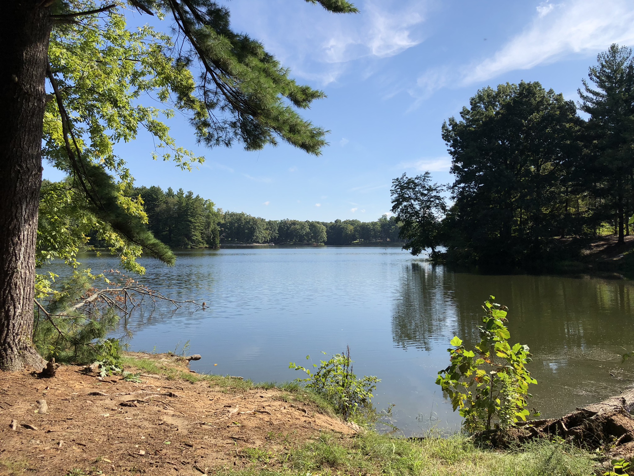 Sullivan County Imagemate - jrnes88