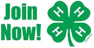 join 4h