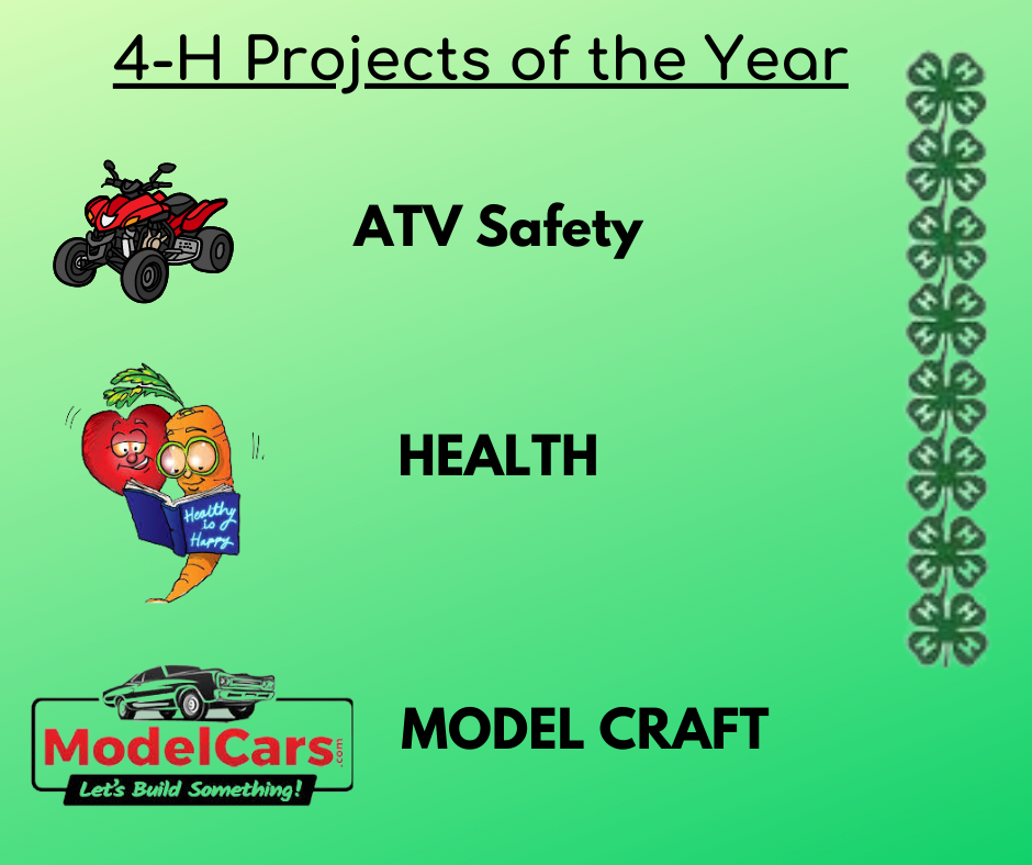 4-h-projects-of-the-year.png